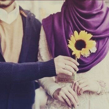 Медик Медик