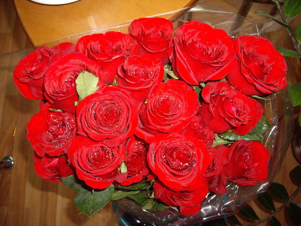 Виктория * * * * *