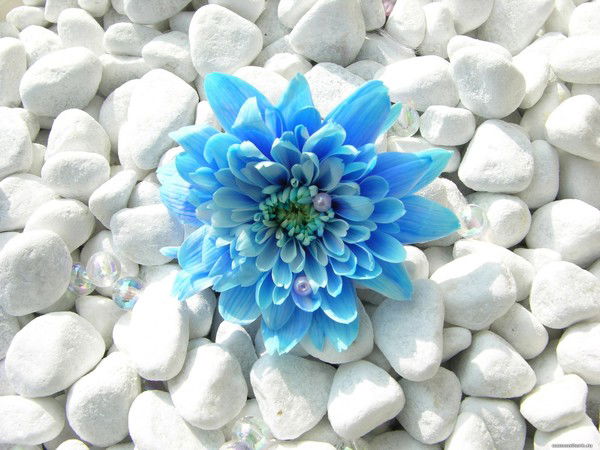 Екатерина Соловьева