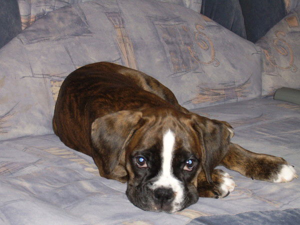 Оксана Крыкина