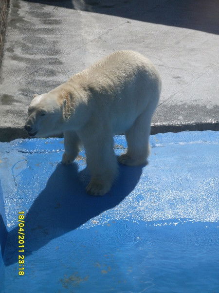 Михаил Дудкин