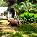 Алёша Малков