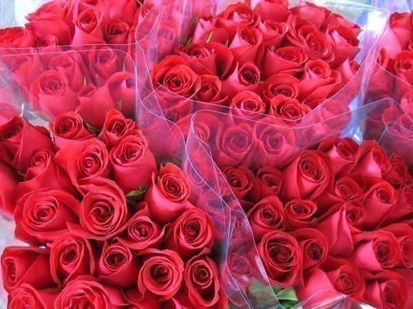 Асем Коныратова