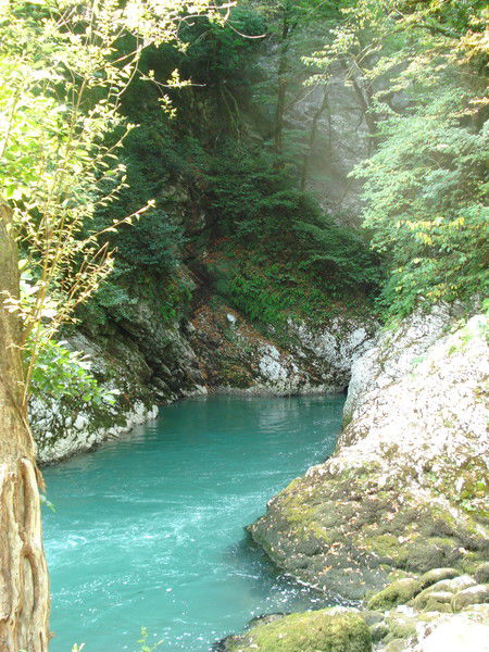 Виктор Андрющенко