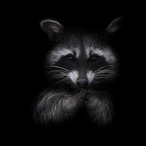 Алексей Ходов