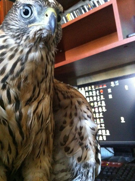 Артур Муталов