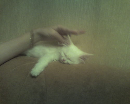 Татьяна Курныкова