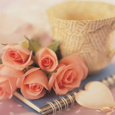 Вера Петрова