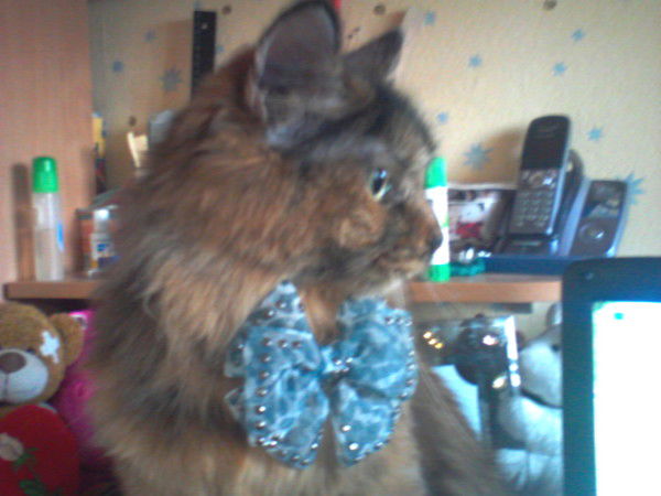 Дарья Староверова