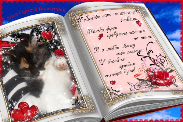 Настя Долженко