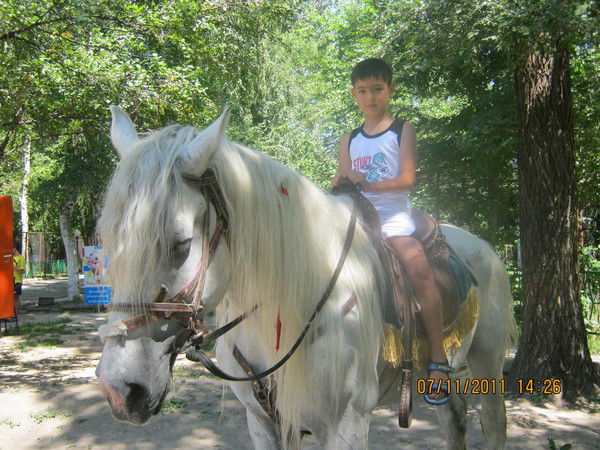 Али Калжан Ахмет