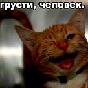 Yuriy L