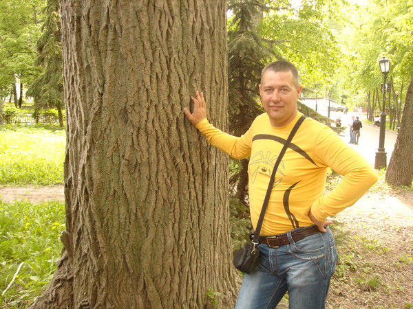 Евгений Коростелёв