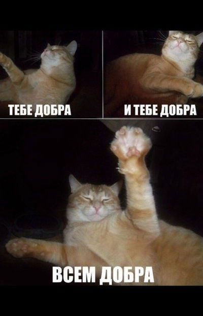 Кирилл Аверин