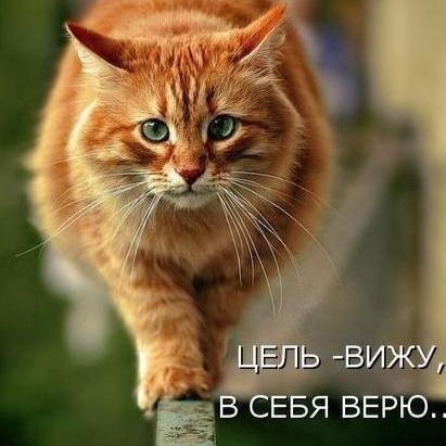 Александр Вишневский