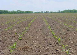 Озк Ульяновск