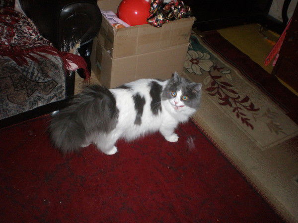 Татьяна Тхинд