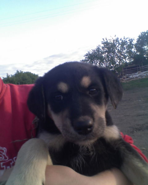 Василий Ульянов