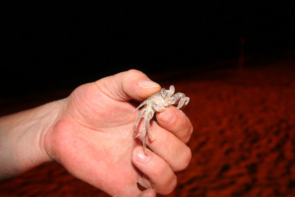 Андрей Никонов