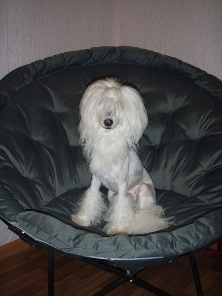 Игорь Юшкин