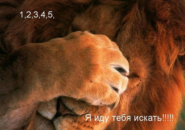 Александр Скотников