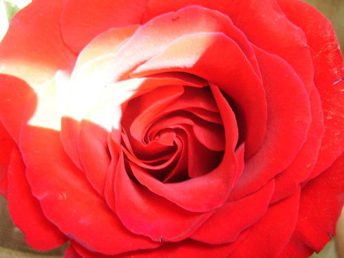 Марина Кравченко