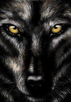 Алексей Winner