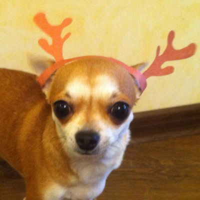 Тамара Рымашевская