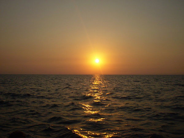 Динара Захарова