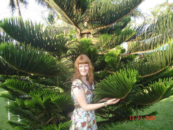 Светлана Эленбогин