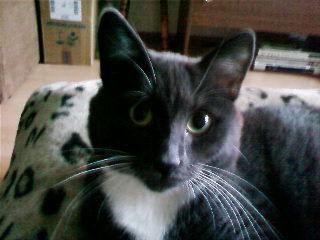 Иван Чудайкин