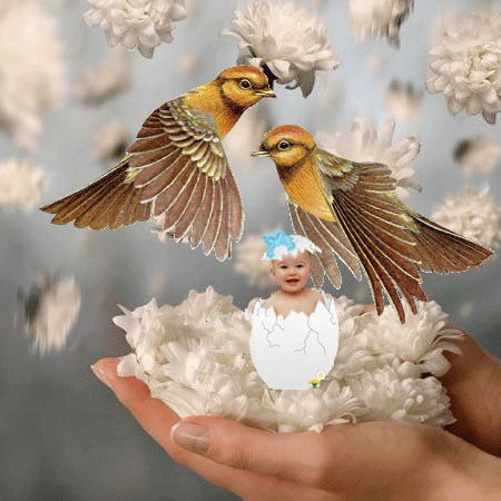 Надежда Долгова