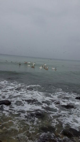 Айнура Тулегенова