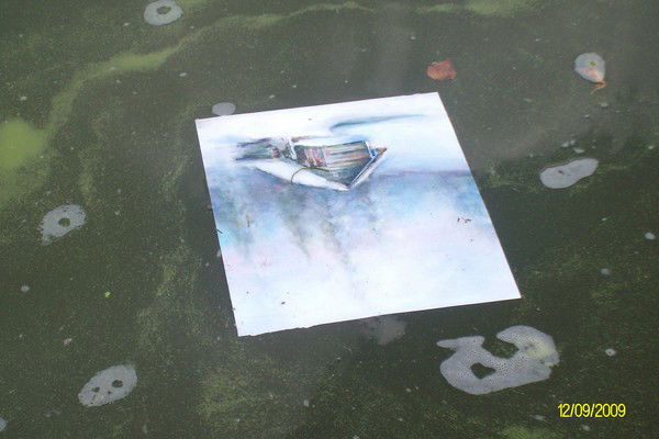 Анастасия Григарович