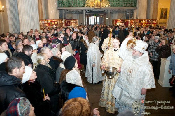 Cаша Волков