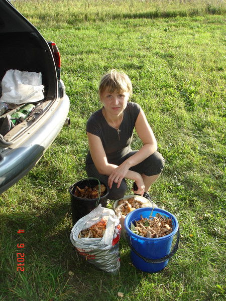 Наталья Шестопалова