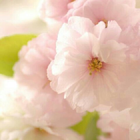 Евгения Владимировна