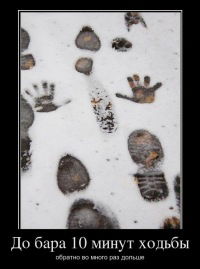 Алексей Шпилёв