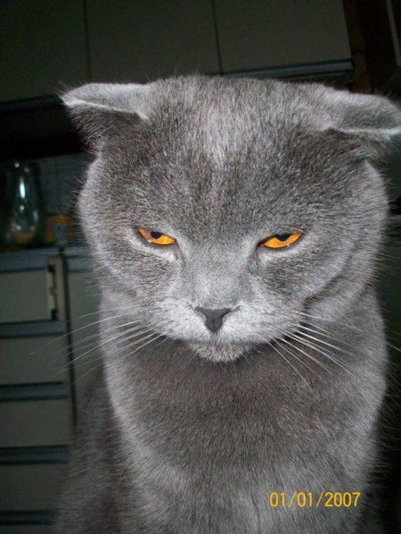 Рома Игнатов