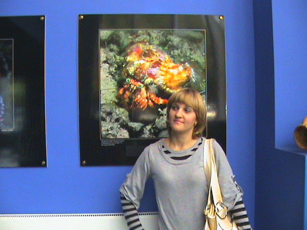 Елена Аниськина