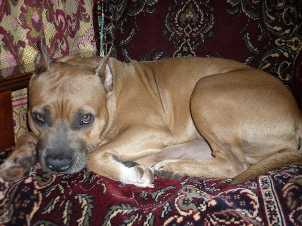 Татьяна Торонова