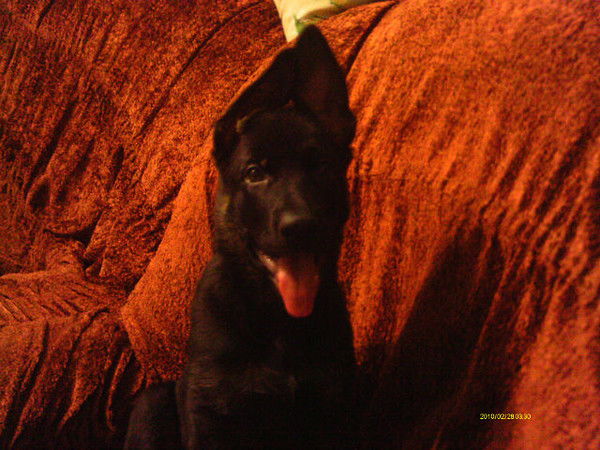 Елена Якушик