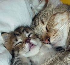 Татьяна Михайлова