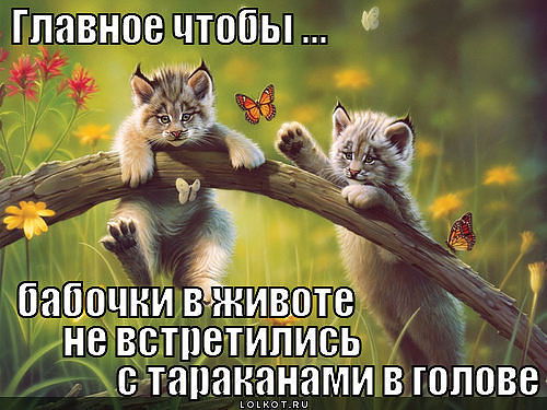 Екатерина Сапожникова