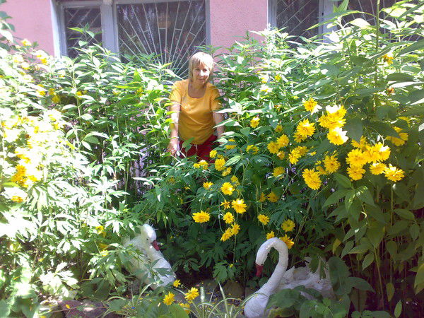 Елена Нестерова