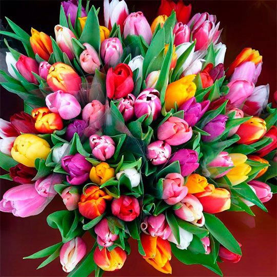 Назгуль Жикенова