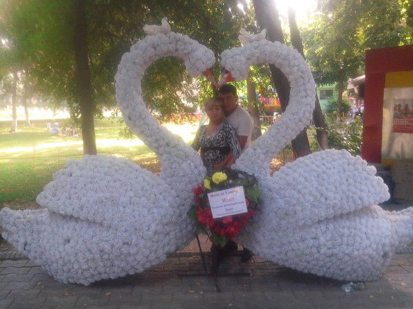 ___________ _______________