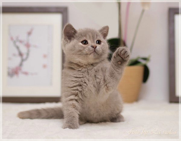 Татьяна Каретникова