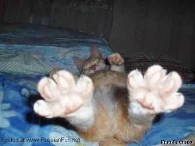 Сидоров Игоррешка