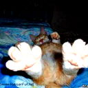 Сидоров Игоррешка